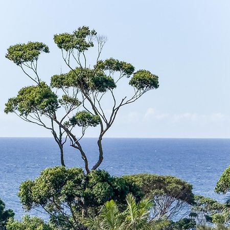 Mollymook Motel المظهر الخارجي الصورة